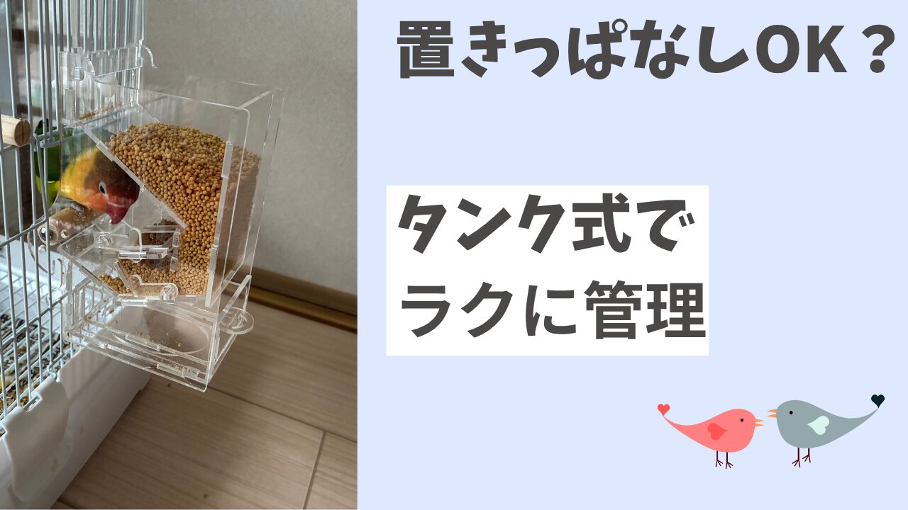 タンク式エサ入れとボタンインコ